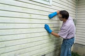 Best Custom Siding Design  in Newark, TX